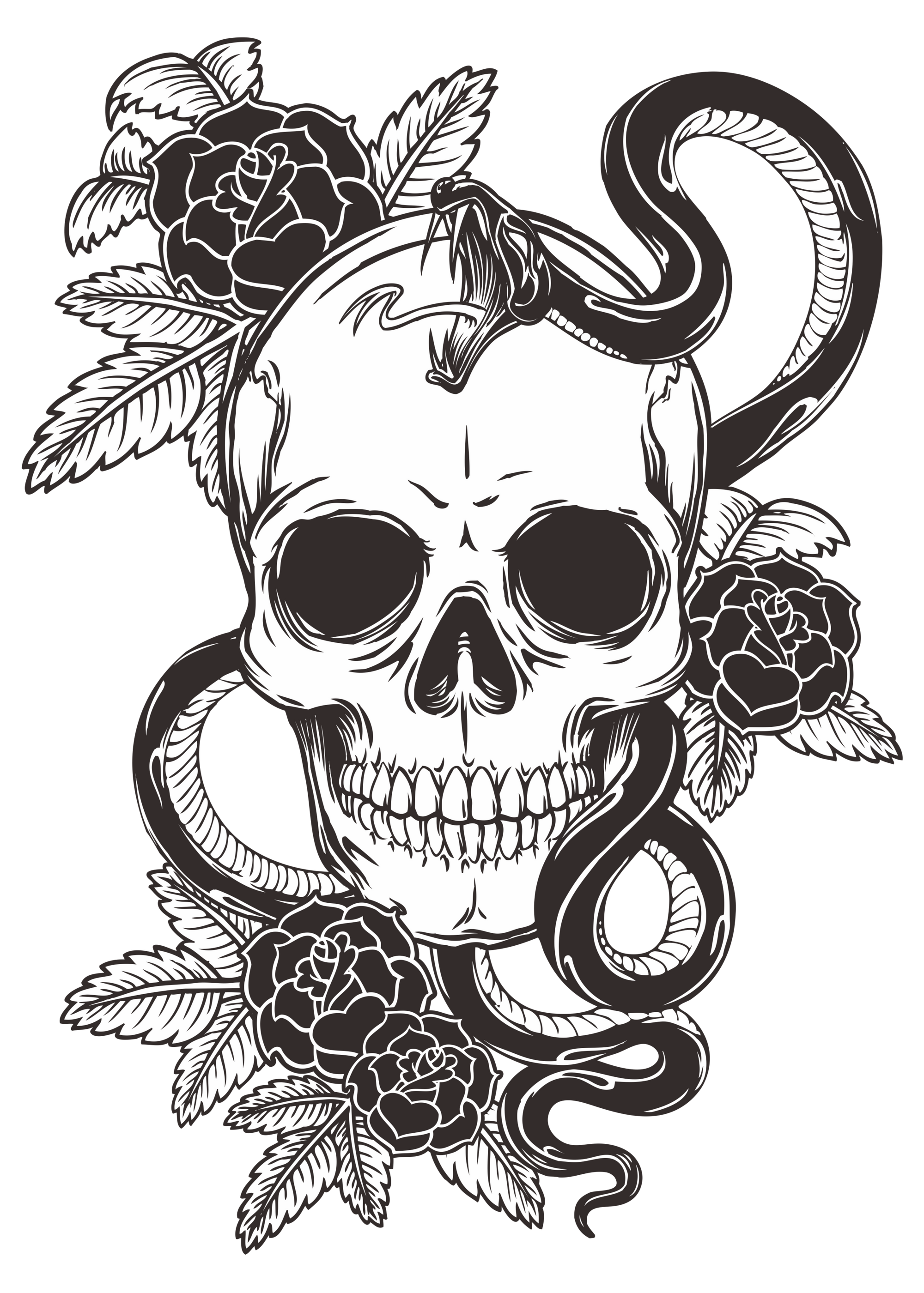 Collection Image